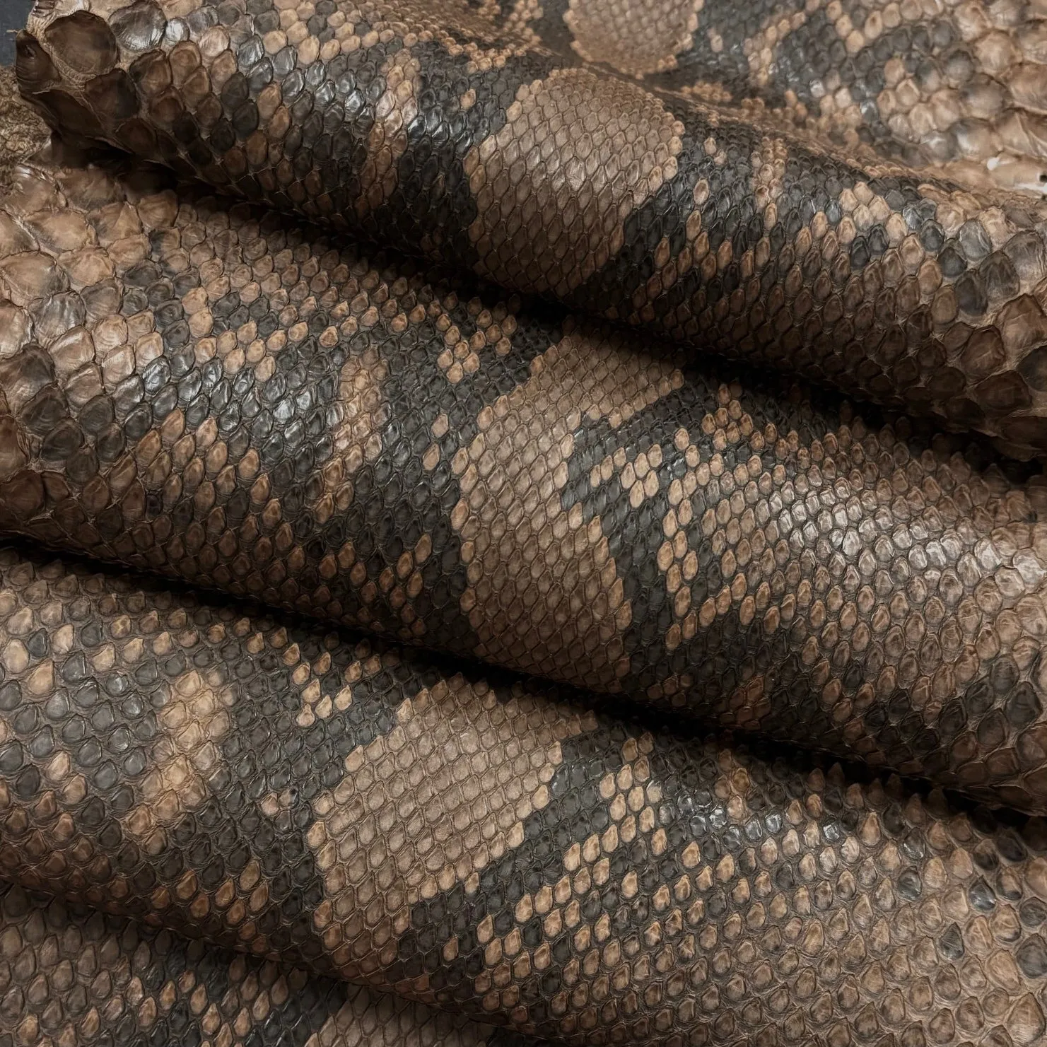 Python Matte | Taupe | Front Cut Long Tail