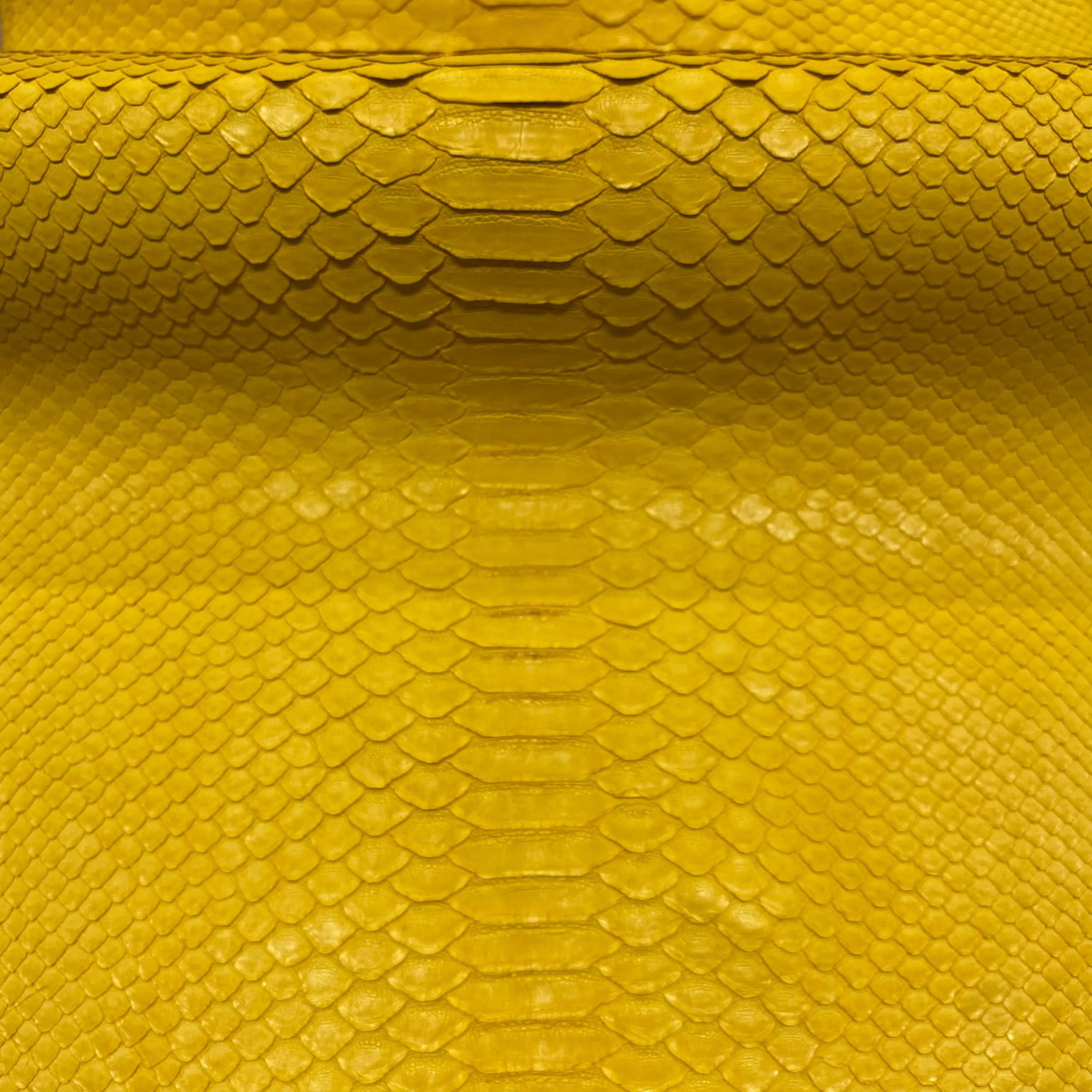 Python Matte | Yellow | Short Tail Back Cut