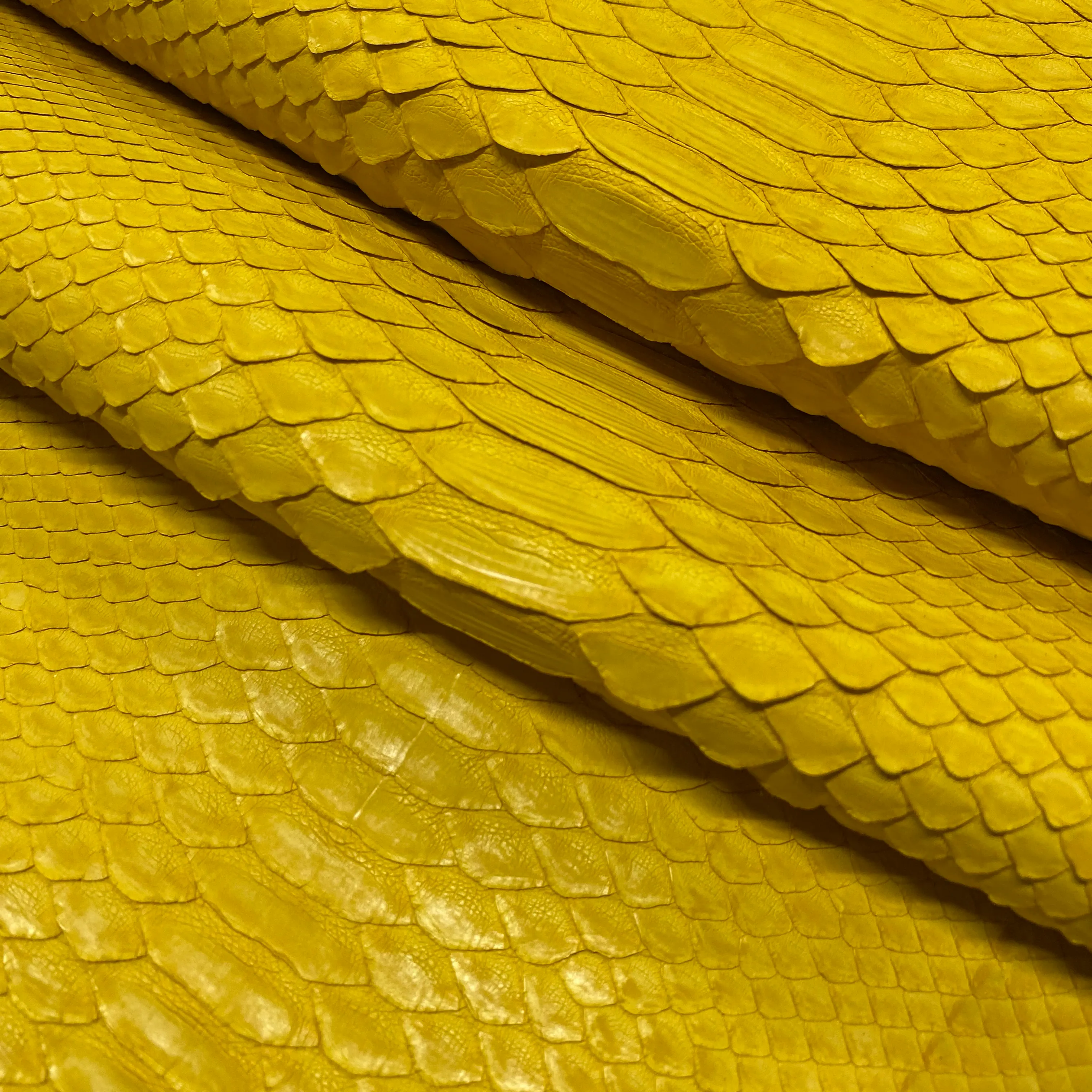 Python Matte | Yellow | Short Tail Back Cut